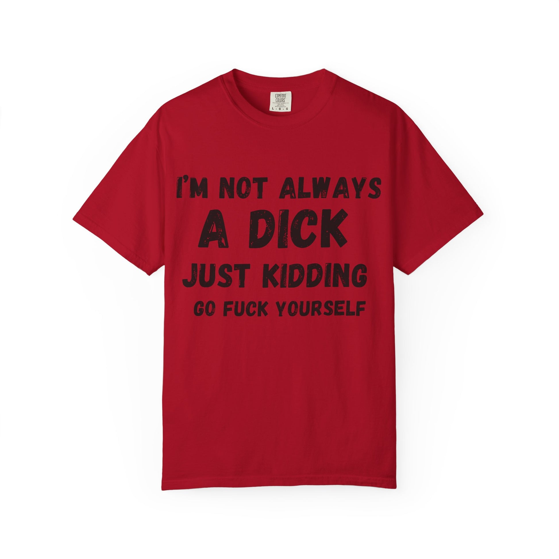 Funny Sarcastic T-shirt, Gift for Friends, Humor Tee, Casual Wear, Unisex Clothing